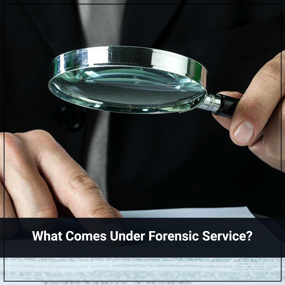 Forensic accounting services in Delhi