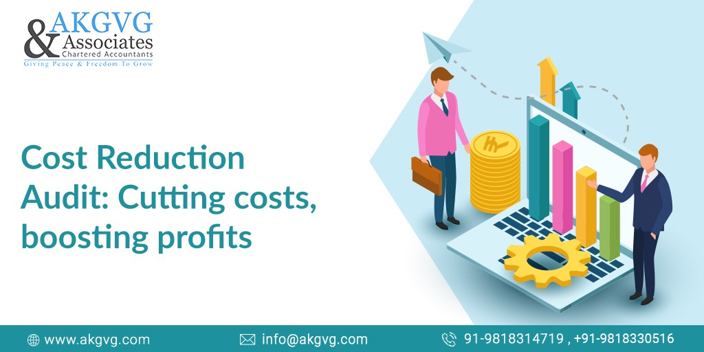 Cost Reduction Audit Cutting costs, boosting profits