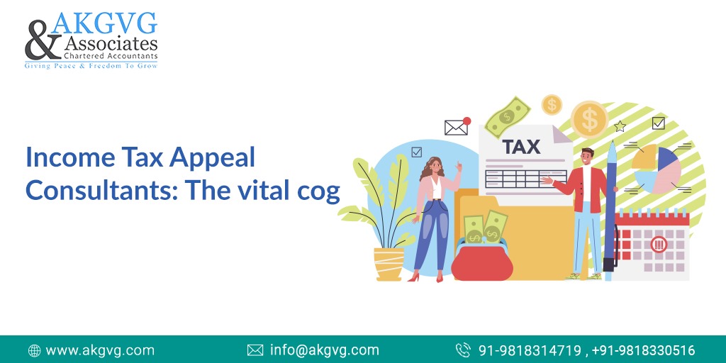 Income Tax Appeal Consultants: 