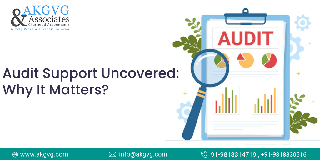 Audit Support