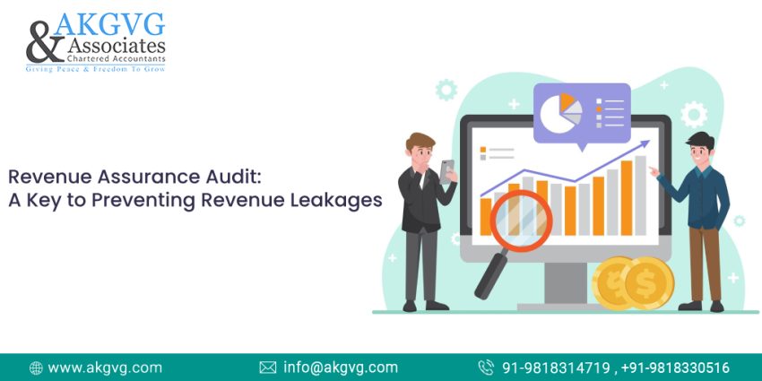 Revenue Assurance Audit