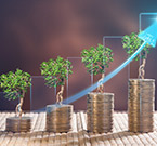 Capital Gains
