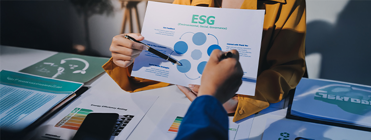 formulation-of-esg-strategy-framework